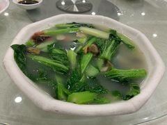 -姚林轩