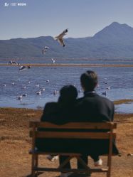 -Mregina 美人纪摄影(样片研发中心)