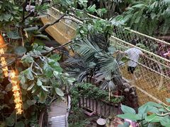 -正佳雨林生态植物园
