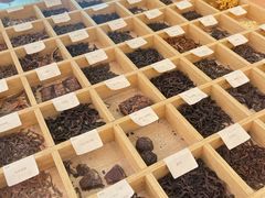 -Tea Stars茶星星(九龙首府店)