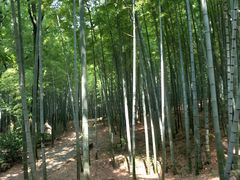 -宝岩生态观光园