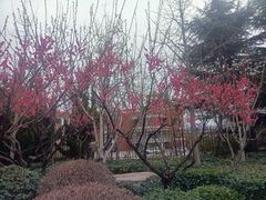 -山东外贸职业学院