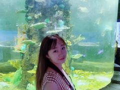 -嘉兴海底世界