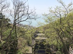 -石老人观光园