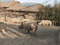 -济南野生动物世界