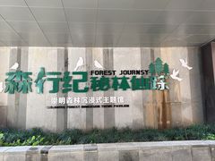 -东平国家森林公园