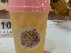 -Husky Go! 哈士奇体验馆·宠物咖啡厅狗咖