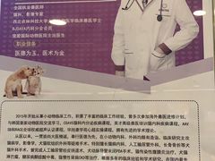-宠爱国际动物医院·消化内科·心肾内科·ISFM猫友好(望京店)