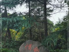 -新洲生态园