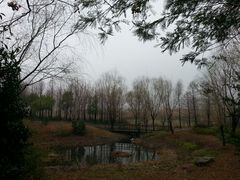 android_upload_pic-新江湾城公园