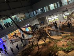 -自贡恐龙博物馆
