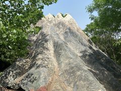 -武清南湖绿博园