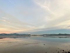 -深圳湾公园(南山区)