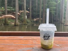 -波尔登森林公园