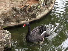 -海南热带野生动植物园