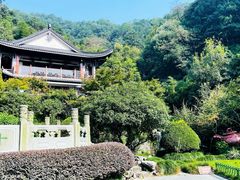 -十八棵（老龙井）御茶园(老龙井店)