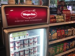 -中化道达尔太阳宫加油站