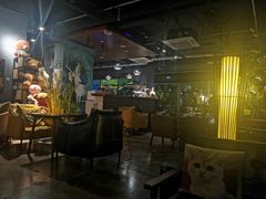 -咖法森林·咖啡  酒吧(天河店)