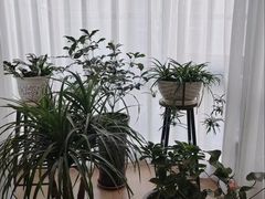 -逸栈养生SPA(望京店)