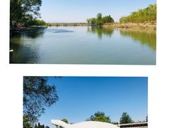 -东方巨龟苑景区