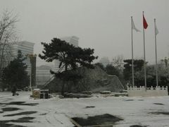 -大东方海鲜酒楼(小武基桥店)