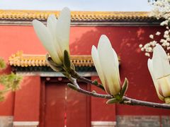 -北京市劳动人民文化宫(太庙)
