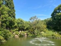 -上海醉白池公园