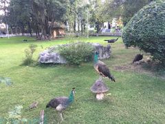 -邛海宾馆·玉鸥楼中餐厅