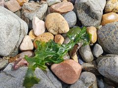 -银沙滩浴场