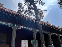 -孔府
