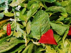 -慢丽江·云南野生菌土鸡锅(西山店)