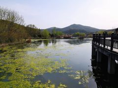 -石塘人家