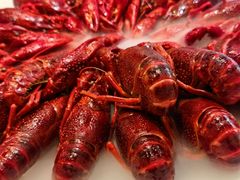 -杨氏青龙虾·羊蝎子(珠江路店)