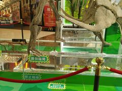 -凯德广场(金牛店)