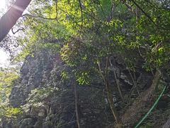 -藏龙百瀑风景区