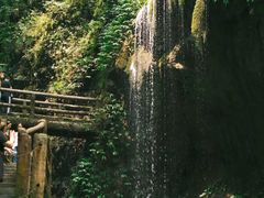 -青城山