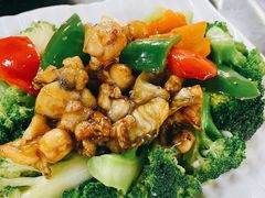 西兰花炒田鸡-红星光发煲仔饭(文海店)
