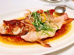 黄酒鸡油蒸东星斑-北京厨房(SKP店)