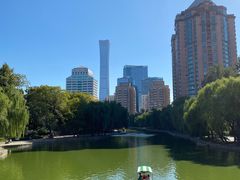 -团结湖公园