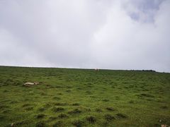 -芦芽山旅游度假区