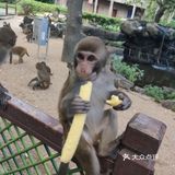 猴岛，万宁市陵水黎族自治县