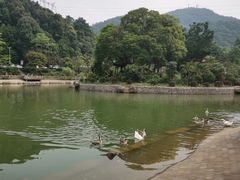 -广州市帽峰山景区