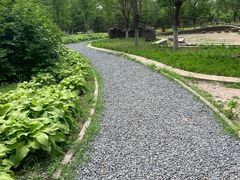 -东郊湿地公园