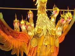 -武汉园博园(武汉自然博物馆)