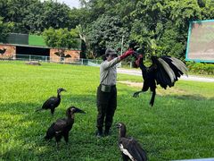 -广州长隆飞鸟乐园