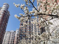 -长春市图书馆(同志街店)