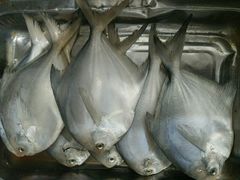 -三乐海鲜水饺馆