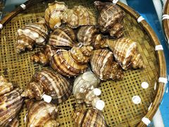 -港畔赶海蒸汽海鲜烧烤自助(仙螺岛店)