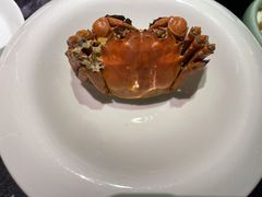 清蒸大闸蟹-蟹榭·本帮江浙菜·蟹宴(五角场合生汇商场店)