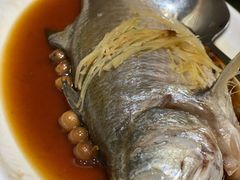 破布子午鱼-光头匠
